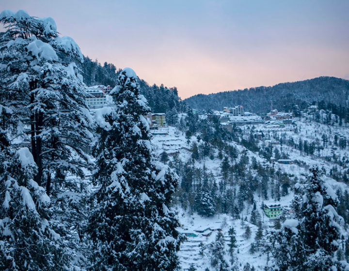 Shimla